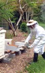 Routine inspection