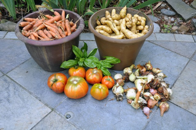 A gold-digger's reward