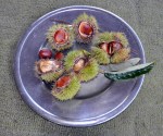 Chestnut plate#2