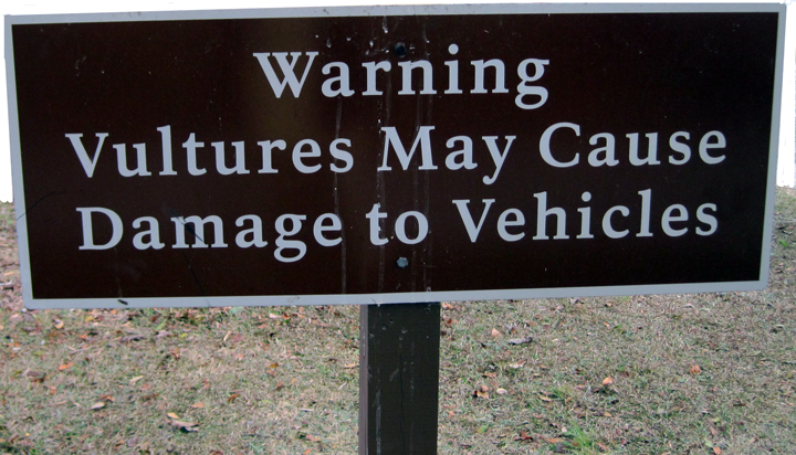 vulture warning