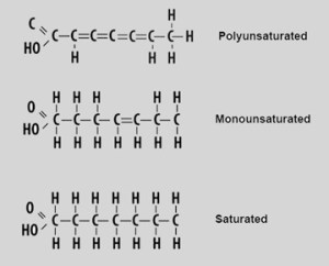 Healthy or unhealthy fats