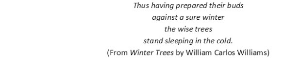 William Carlos Williams