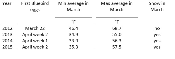 Bluebird laying record