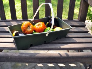 Veggies-fruit from garden-small