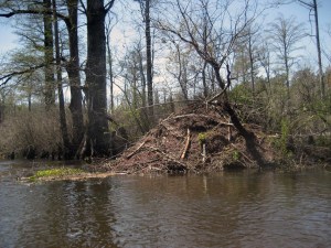 Middle Peninsula, VA