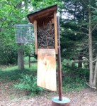 Box taken over by house wrens
