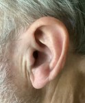 Human ear and listening