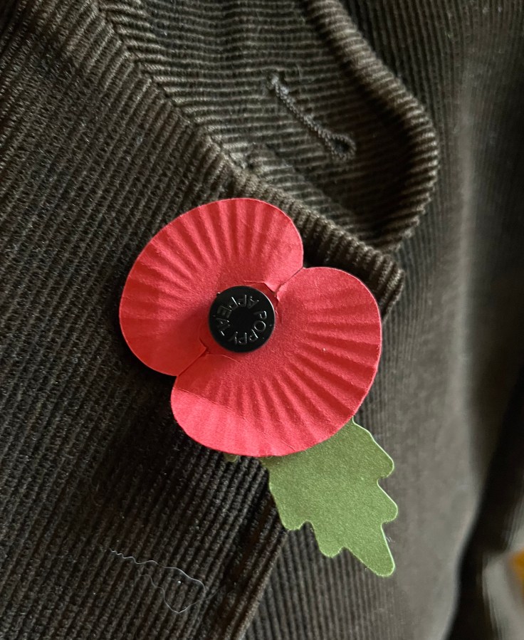 Poppy for Remembrance Day