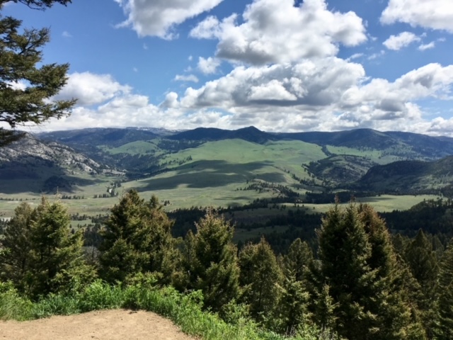Yellowstone National Park