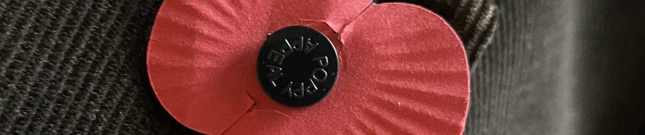Poppy for Remembrance Day