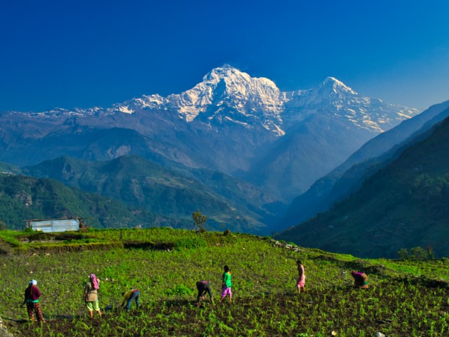Annapurna range