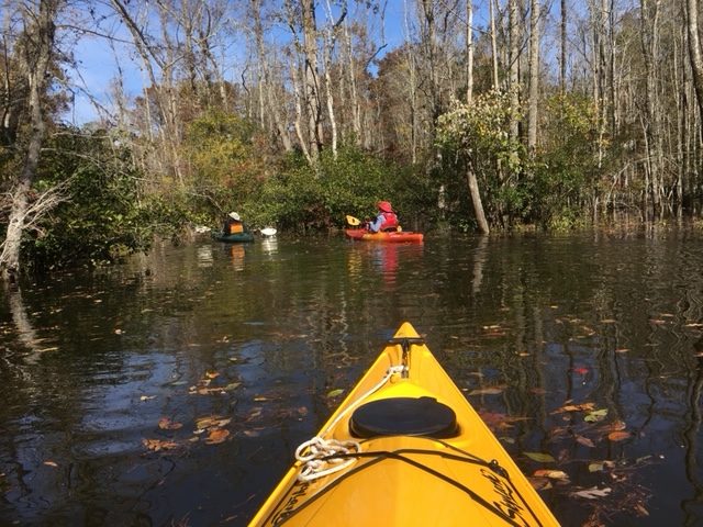 Powhatan Crook, James City County, Virginia