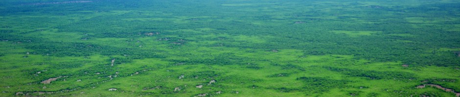 Okavango Delta in Botswana, northern Kalahari