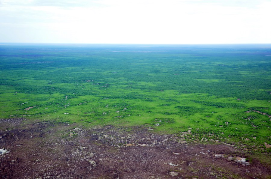 Okavango Delta in Botswana, northern Kalahari
