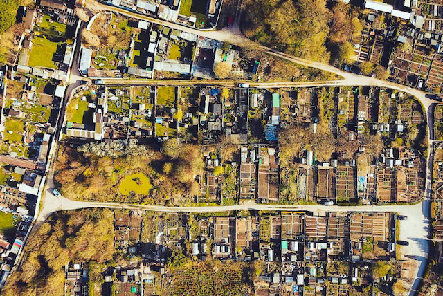 Allotment in the Wirral, UK
