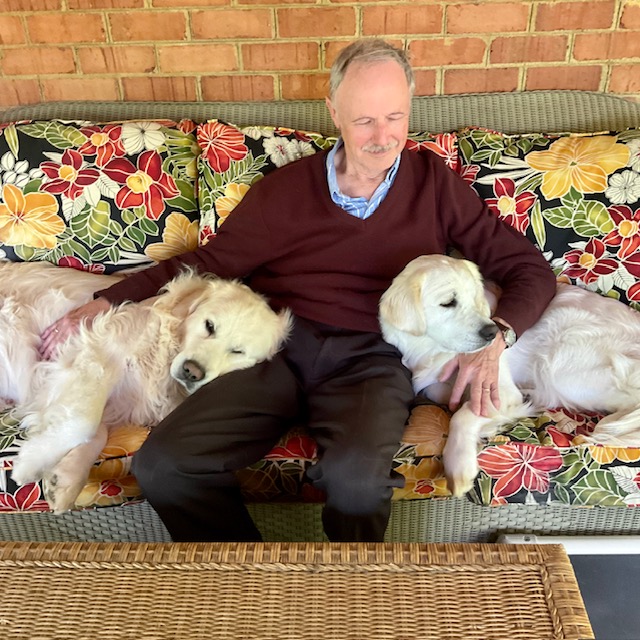 Golden Retrievers English Cream variety