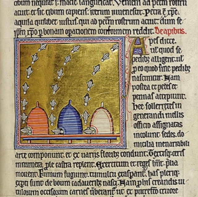 Aberdeen Bestiary