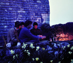 On Islands. #2 Skomer in Wild Wales