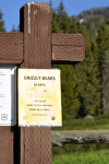 Yellowstone Opens the Doors of Perception