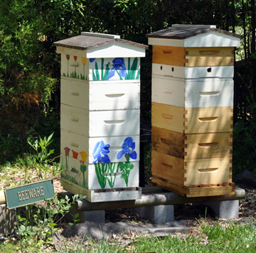 beehives