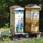 Where the Bee Stings