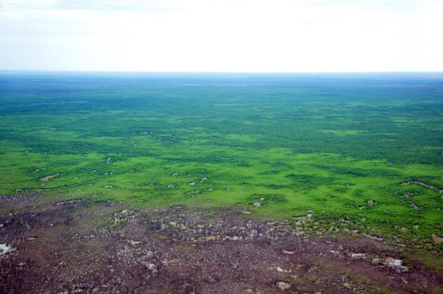 Okavango Delta in Botswana, northern Kalahari
