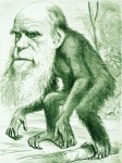 Chimps Head for Retirement