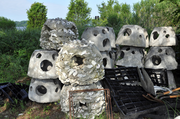 Virginia is for Oyster Lovers
