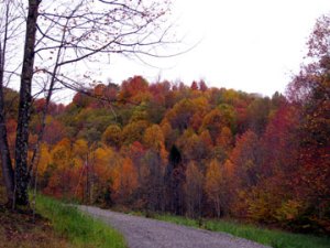Fall Colors in Appalachia