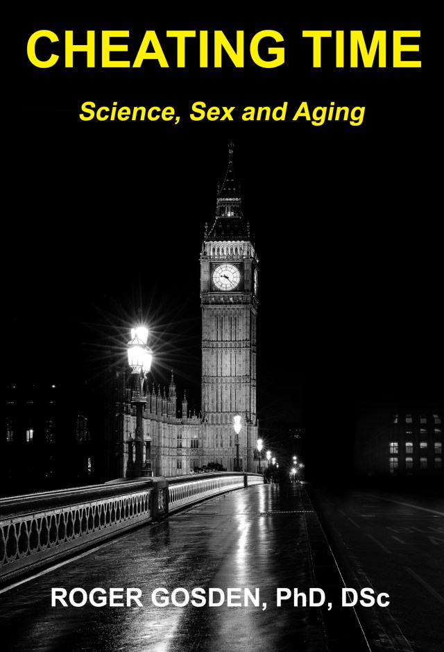 Big Ben in London