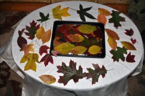 Glycerinate Fall Leaves
