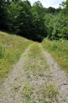 Celebrating the Dirt Road