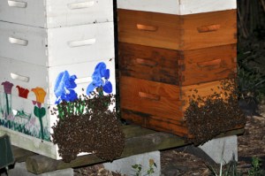 Bee-line from Virginia