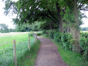The Sandwalk at Down House