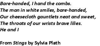 Stings poem